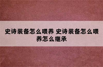 史诗装备怎么喂养 史诗装备怎么喂养怎么继承